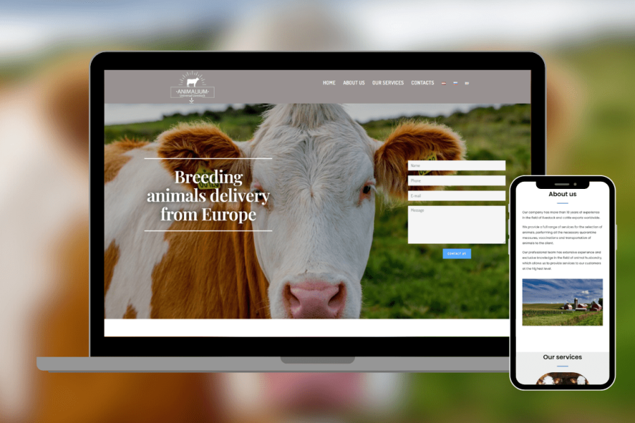Mājas Lapu Izstrāde, Разработка сайтов, Website development